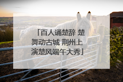 百人诵楚辞 楚舞动古城 荆州上演楚风端午大秀