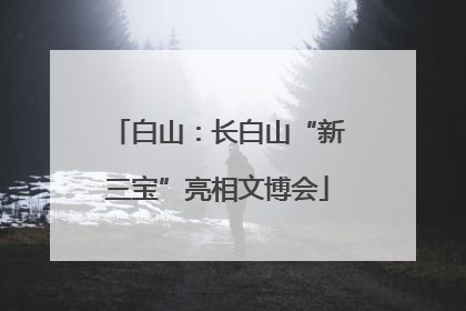 白山：长白山“新三宝”亮相文博会
