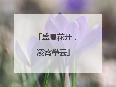 盛夏花开，凌霄攀云