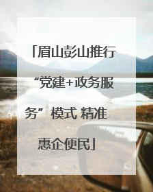 眉山彭山推行“党建+政务服务”模式 精准惠企便民