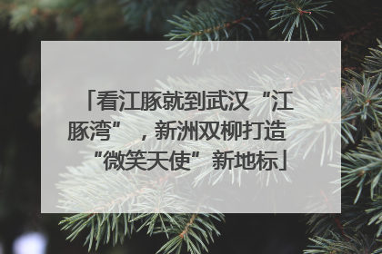 看江豚就到武汉“江豚湾”，新洲双柳打造“微笑天使”新地标