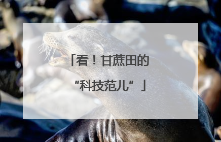 看！甘蔗田的“科技范儿”