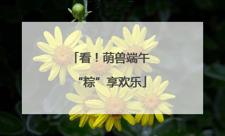 看！萌兽端午“粽”享欢乐