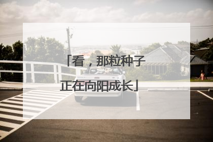 看，那粒种子正在向阳成长