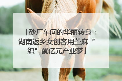 砂厂车间的华丽转身：湖南返乡女创客用苎麻“织”就亿元产业梦
