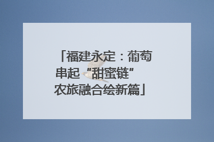 福建永定：葡萄串起“甜蜜链” 农旅融合绘新篇