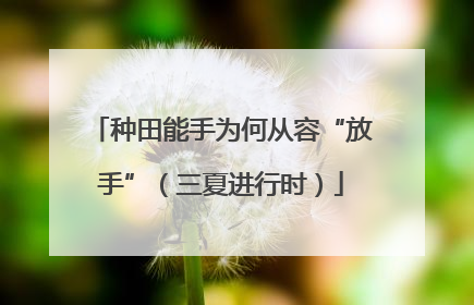 种田能手为何从容“放手”（三夏进行时）