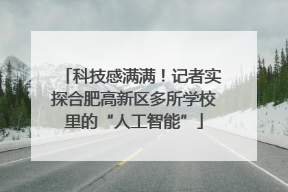 科技感满满！记者实探合肥高新区多所学校里的“人工智能”
