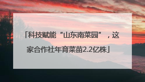 科技赋能“山东南菜园”，这家合作社年育菜苗2.2亿株