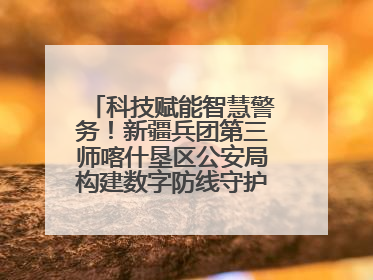 科技赋能智慧警务！新疆兵团第三师喀什垦区公安局构建数字防线守护边疆平安