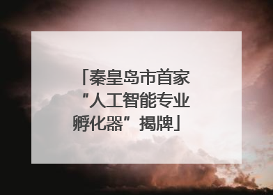 秦皇岛市首家“人工智能专业孵化器”揭牌
