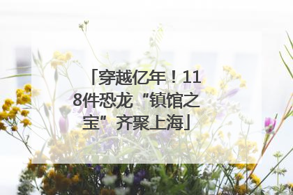 穿越亿年！118件恐龙“镇馆之宝”齐聚上海