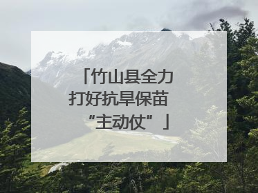 竹山县全力打好抗旱保苗“主动仗”