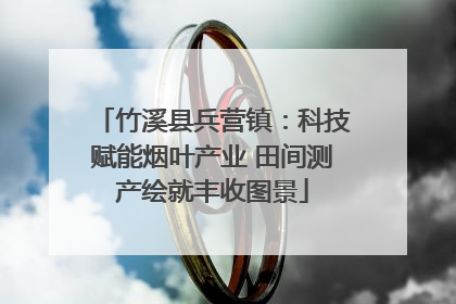竹溪县兵营镇：科技赋能烟叶产业 田间测产绘就丰收图景