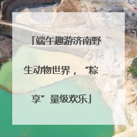 端午趣游济南野生动物世界，“粽享”量级欢乐