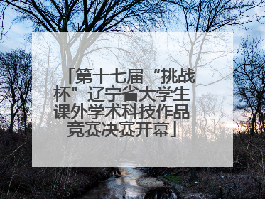 第十七届“挑战杯”辽宁省大学生课外学术科技作品竞赛决赛开幕