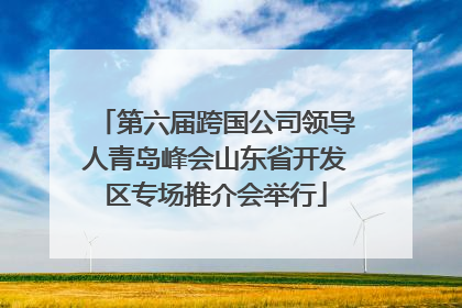 第六届跨国公司领导人青岛峰会山东省开发区专场推介会举行