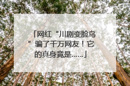 网红“川剧变脸鸟”骗了千万网友！它的真身竟是……
