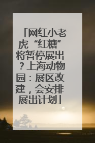 网红小老虎“红糖”将暂停展出？上海动物园：展区改建，会安排展出计划