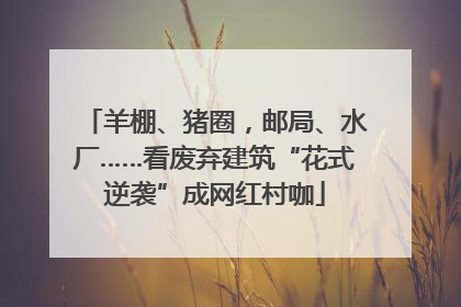 羊棚、猪圈，邮局、水厂……看废弃建筑“花式逆袭”成网红村咖