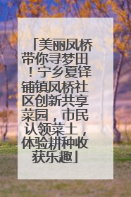 美丽凤桥带你寻梦田！宁乡夏铎铺镇凤桥社区创新共享菜园，市民认领菜土，体验耕种收获乐趣