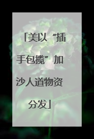 美以“插手包揽”加沙人道物资分发