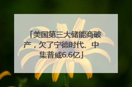 美国第三大储能商破产，欠了宁德时代、中集普威6.6亿