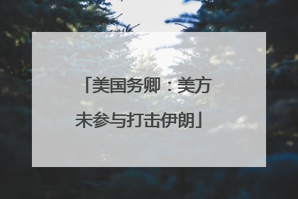 美国务卿：美方未参与打击伊朗