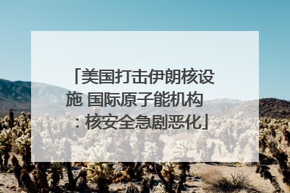 美国打击伊朗核设施 国际原子能机构：核安全急剧恶化