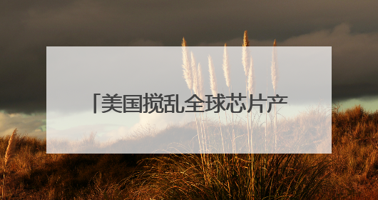 美国搅乱全球芯片产业链，分析师称中国AI生态有望出海