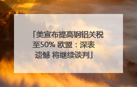 美宣布提高钢铝关税至50% 欧盟：深表遗憾 将继续谈判
