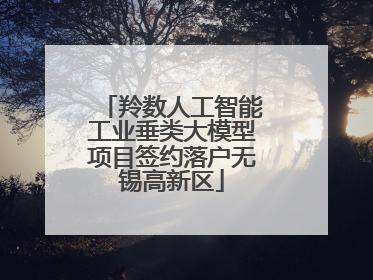 羚数人工智能工业垂类大模型项目签约落户无锡高新区