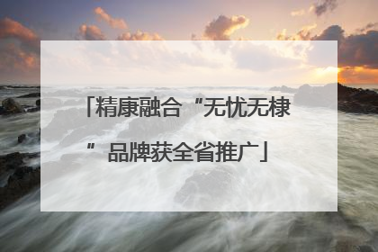 精康融合“无忧无棣”品牌获全省推广