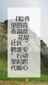 粽香里的青春温度，花堤社区“鹤耋安”行动架起跨代暖心桥