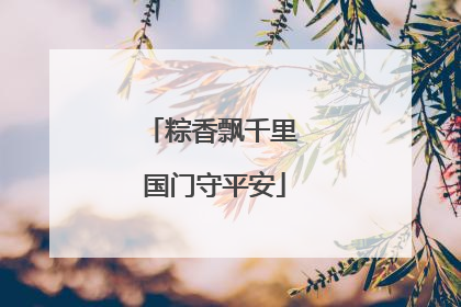 粽香飘千里 国门守平安