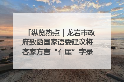 纵览热点｜龙岩市政府致函国家语委建议将客家方言“亻厓”字录入《新华字典》引发热议，当地回应