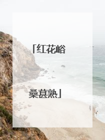 红花峪 桑葚熟