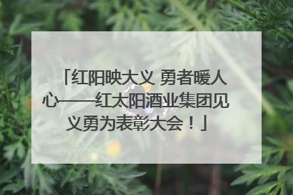 红阳映大义 勇者暖人心——红太阳酒业集团见义勇为表彰大会！