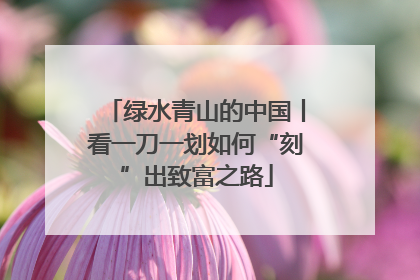 绿水青山的中国丨看一刀一划如何“刻”出致富之路