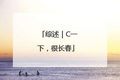 综述｜C一下，很长春