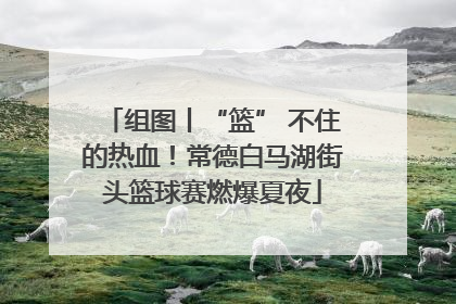 组图丨“篮” 不住的热血！常德白马湖街头篮球赛燃爆夏夜