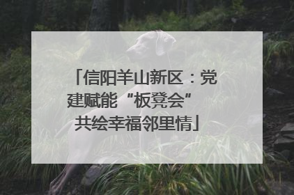 信阳羊山新区：党建赋能“板凳会” 共绘幸福邻里情