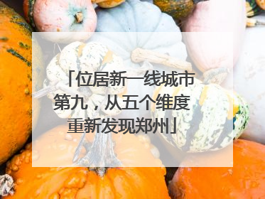 位居新一线城市第九，从五个维度重新发现郑州