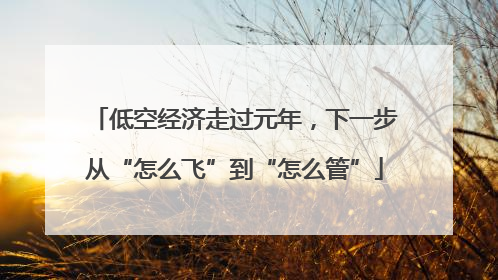 低空经济走过元年，下一步从“怎么飞”到“怎么管”