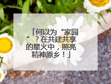 何以为“家园”？在共建共享的星火中，照亮精神原乡！