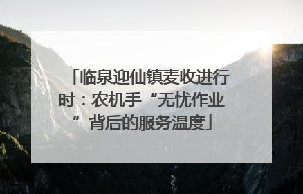 临泉迎仙镇麦收进行时：农机手“无忧作业”背后的服务温度