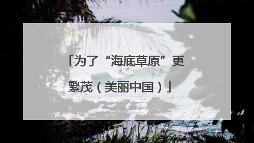 为了“海底草原”更繁茂（美丽中国）