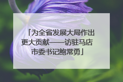 为全省发展大局作出更大贡献——访驻马店市委书记鲍常勇