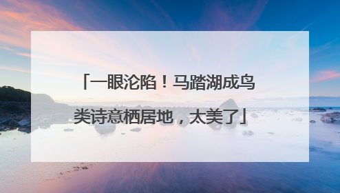 一眼沦陷！马踏湖成鸟类诗意栖居地，太美了