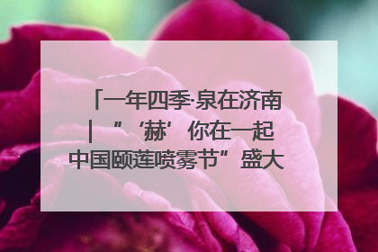 一年四季·泉在济南｜“‘赫’你在一起 中国颐莲喷雾节”盛大开启 共赴水润之约
